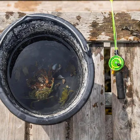 84260-ebeltoft-hornsvej-1